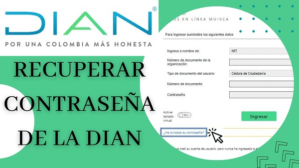 Recuperar Contraseña De La Dian Guía Completa Paso A Paso 6381